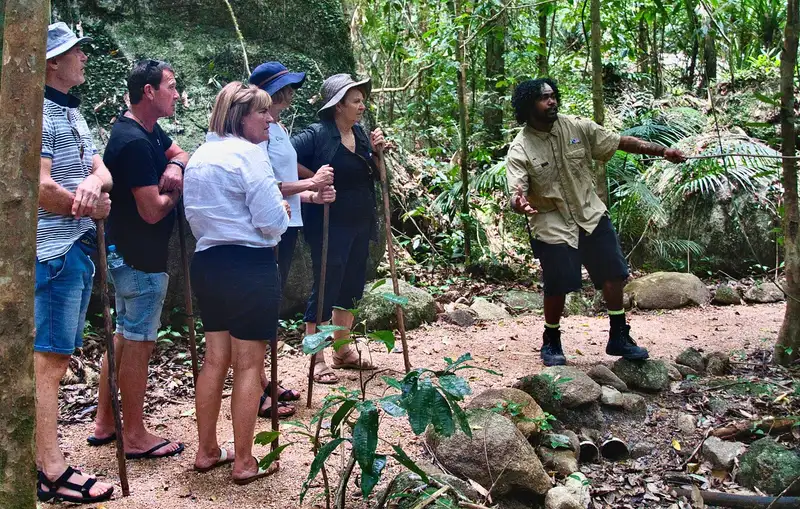 Guia mostrando a mata a um grupo de turistas numa trilha
