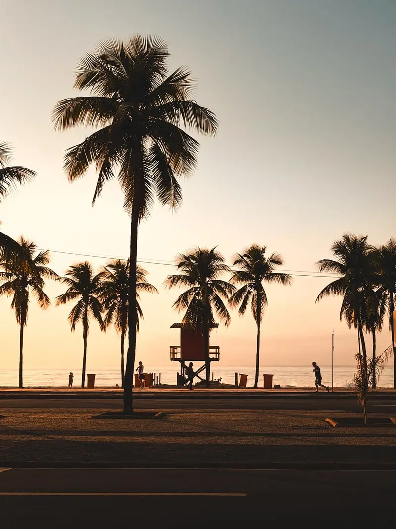 Coqueiros e posto de salva-vidas em Ipanema ao entardecer